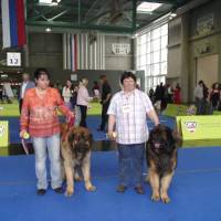 Salzburg Clubschau Mai 06 040 